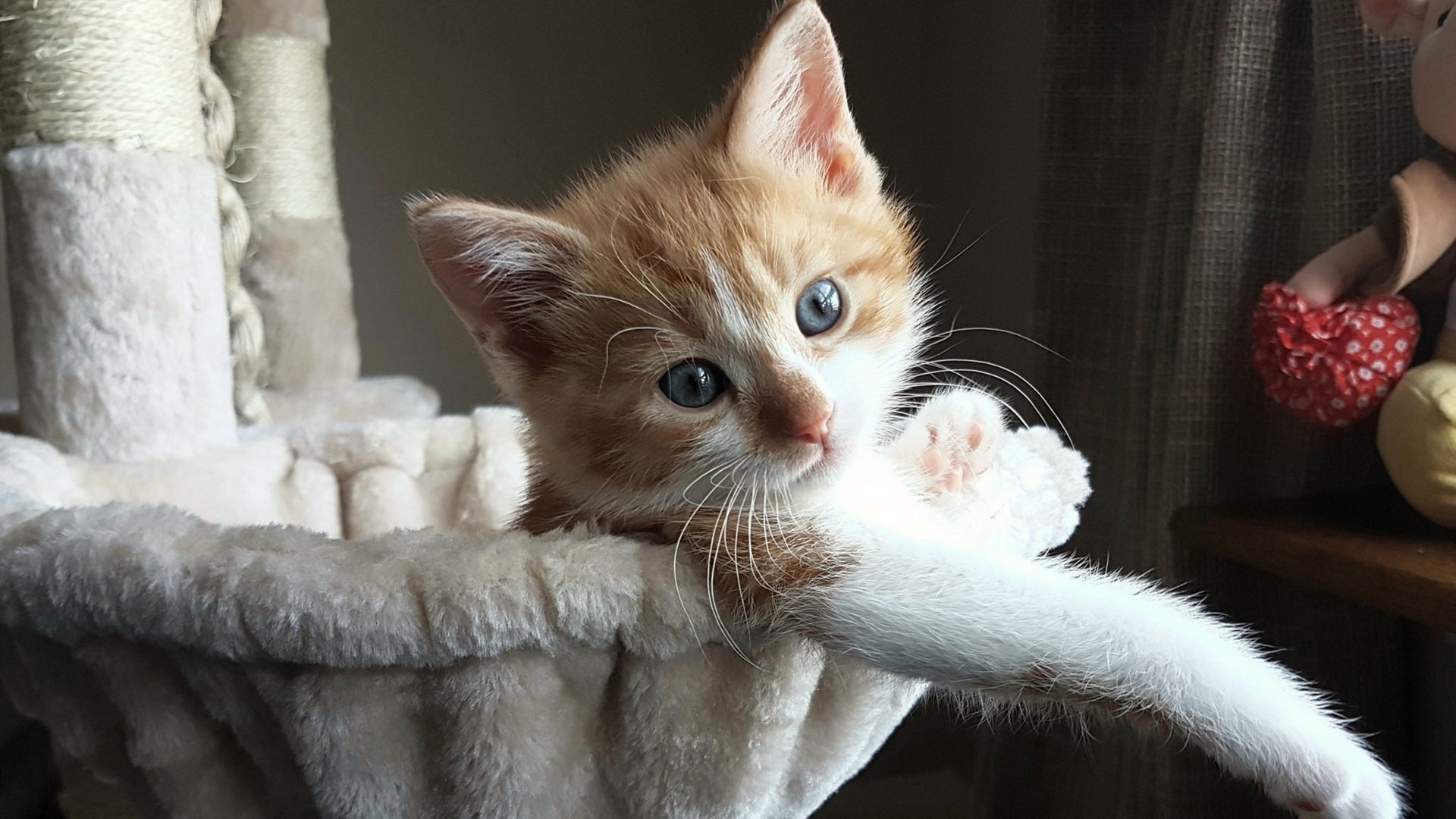 当斯坦福桥变成篮球馆，看切尔西如何用篮球思维击败西班牙