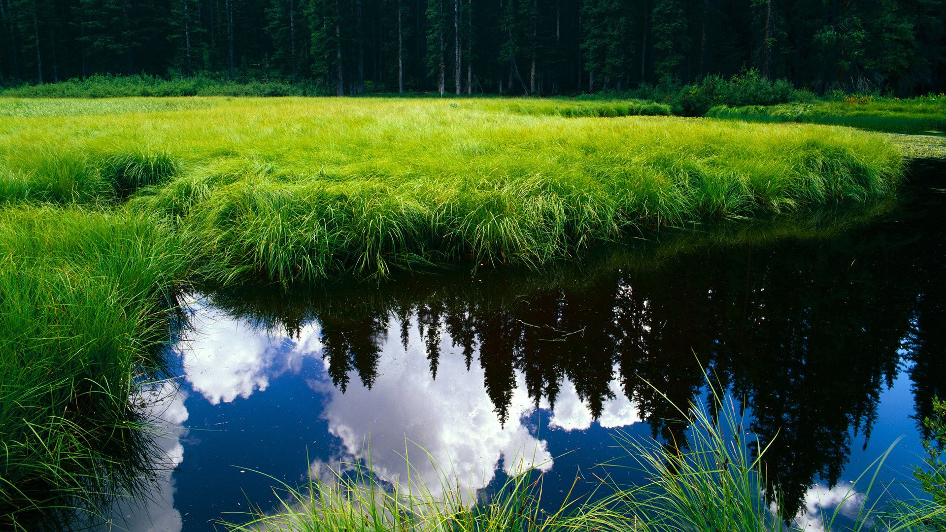 九游娱乐入口-压哨绝杀！本泽马传射导演逆转，皇马惊险攻克日本客场