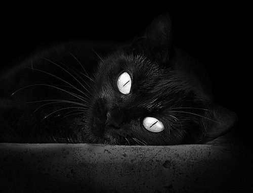 禁区外三十米！莫德里奇爆射撕碎苍穹，克罗地亚传奇一波带走墨西哥