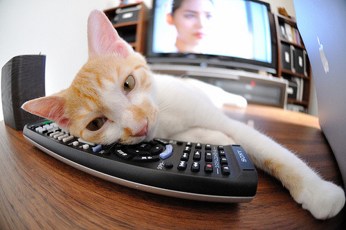 九游娱乐入口-雪崩与钢铁的对决，莱万独舞，阿尔卑斯山脚下的德意志铁骑沉沙