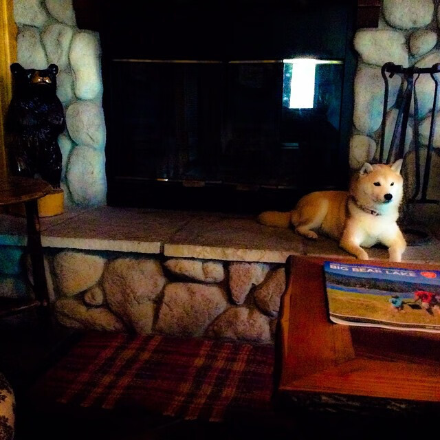 九游中国-双星闪耀！卢卡库爆发助比利时全胜，克罗地亚险胜苏格兰惊险晋级