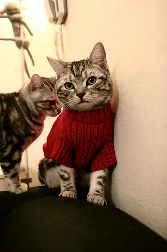 9you娱乐-马刺美学风暴席卷纽约，效率篮球对个人英雄主义的无情碾压